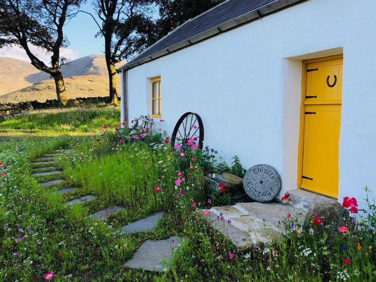 Thistle Thatch Cottage And Hot Tub - Mourne Mountains Ньюкасл Экстерьер фото