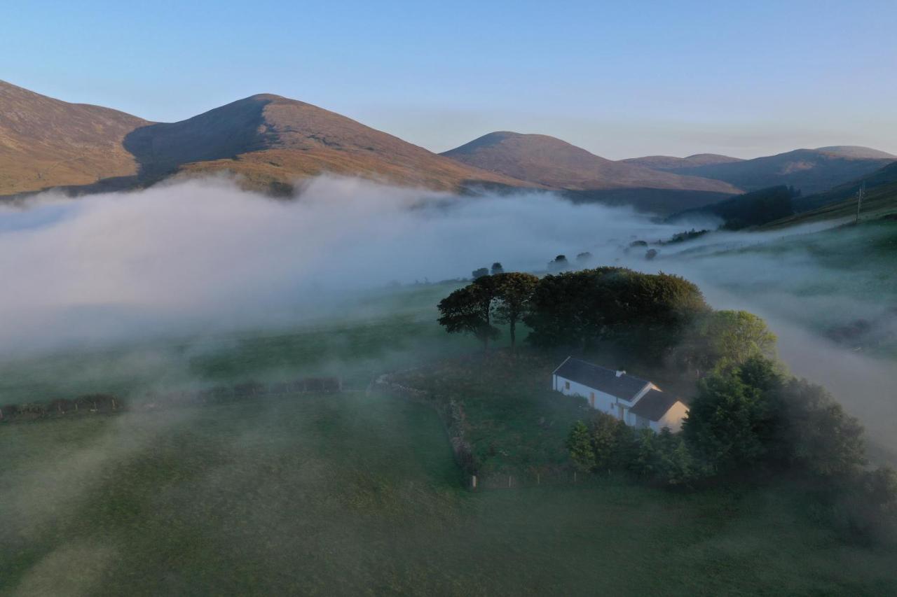 Thistle Thatch Cottage And Hot Tub - Mourne Mountains Ньюкасл Экстерьер фото